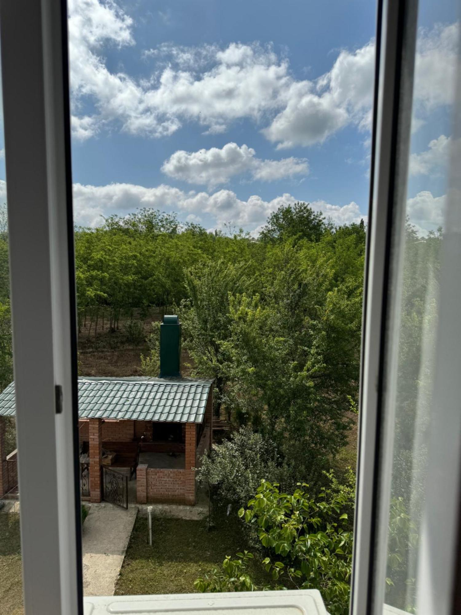 Guesthouse Saniko Martvili Exterior foto